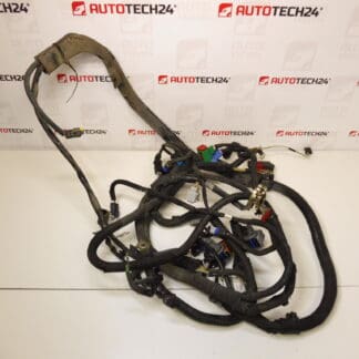 Mazo de cables motor Peugeot 206+ 1.4i KFT 9670618880 6585P6