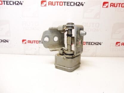 Tope bisagra puerta delantera izquierda Peugeot 207 23709080 9035T5