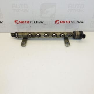 Riel carril Bosch Citroën Peugeot 0281002803 9656917280 9654748880 1570L3