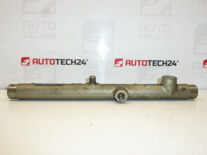 Riel RAIL Citroën Peugeot 0445214019 157095