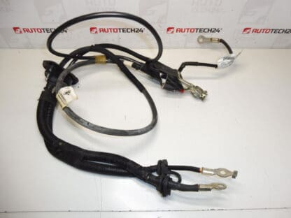 Cable conexion + polo en motor Citroën Peugeot 1401159880 1400812780