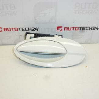 Tirador puerta trasera izquierda Citroën C5 I y II 9631831077 9101S7 blanco