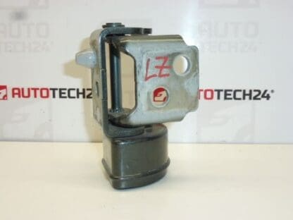 Tope bisagra puerta trasera izquierda Peugeot 207 25009580 9037C1