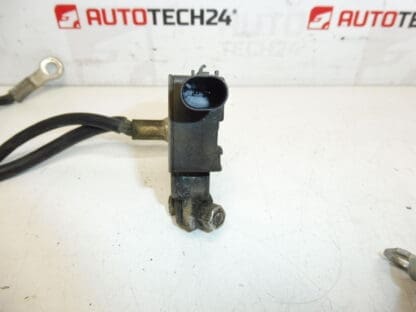Cable de Polo Negativo Citroën C5 X7 9684772180 5838TE - Imagen 2