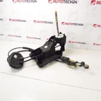 Peugeot 207 9685232980 2400JZ SHIFT PALEVER