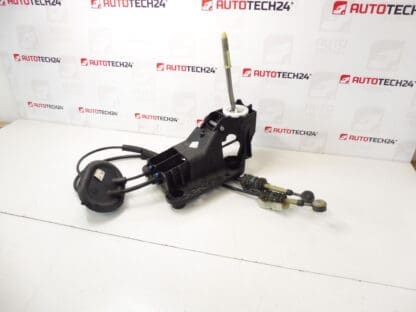 Peugeot 207 9685232980 2400JZ SHIFT PALEVER