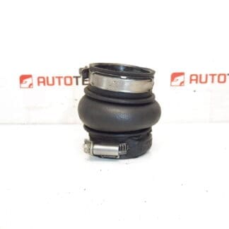 Turbe 1.6 Hdi Citroën Peugeot manguera