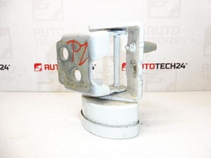 Tope Bisagra Puerta Trasera Derecha EWPB Citroën C3 Picasso 9035FN - Imagen 2