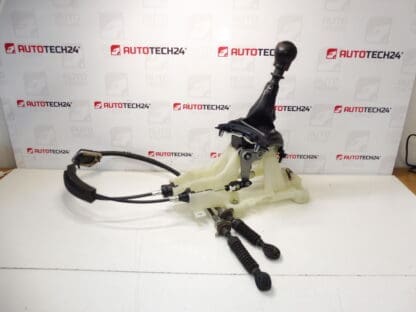 Teleféricos con juego de cambios Citroën Peugeot 2400FS 2444G