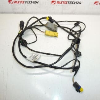 Arnés PDC delantero Peugeot 3008 9665290080 9677246380 6584Z4