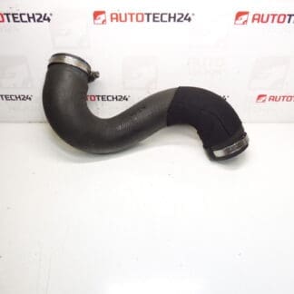 Toma de aire Citroën Peugeot 2.0 HDI 0382NE