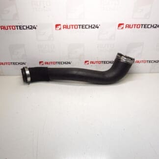 Toma de aire Citroën Peugeot 2.0 HDI 0382NH